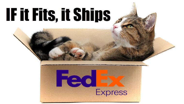 7 Ways to Ship A Cat