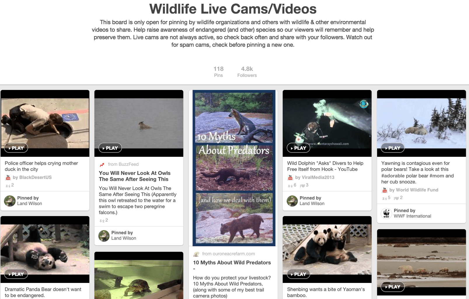 How Does Pinterest Work for Nonprofits? National Wildlife Association board aggregating live wildlife cams from around the world.