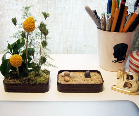 Boss's Day Gift Ideas: Mini Garden