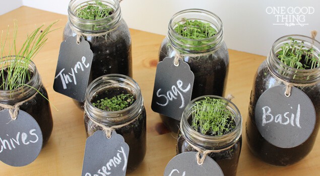 Boss's Day Gift Ideas: Herb Garden